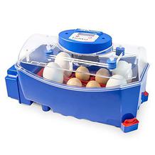 Borotto Inkubator