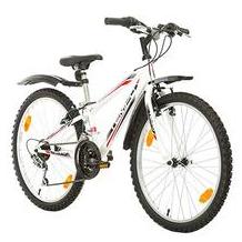Multibrand Probike Tempo 24