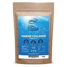 Wehle Sports Kollagenhydrolysat