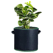 Zhongtou Pflanzsack
