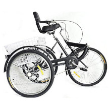 Fetcoi Lastenfahrrad