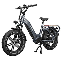 Himiway E-Lastenrad