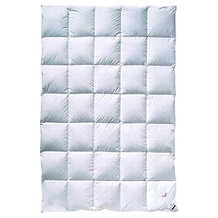 Billerbeck Daunenbettdecke 155x220