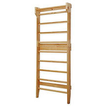 Physionics Sprossenwand