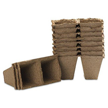 WINDHAGER 05507