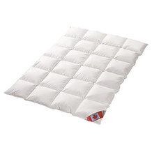 Schäfer Daunenbettdecke 155x220