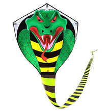 Mint's Colorful Life Kinderdrachen