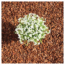 Grand patio Pinienmulch