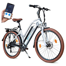 BLUEWHEEL Tiefeinsteiger-E-Bike