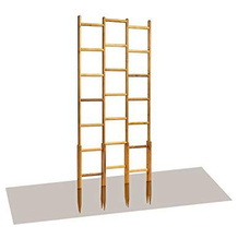 robinia-pro Holz-Rankhilfe