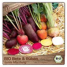 Samenliebe Rote-Rübe-Samen