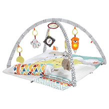Fisher-Price HBB74