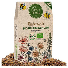 Goodaro GmbH Bienenweiden-Saatgut