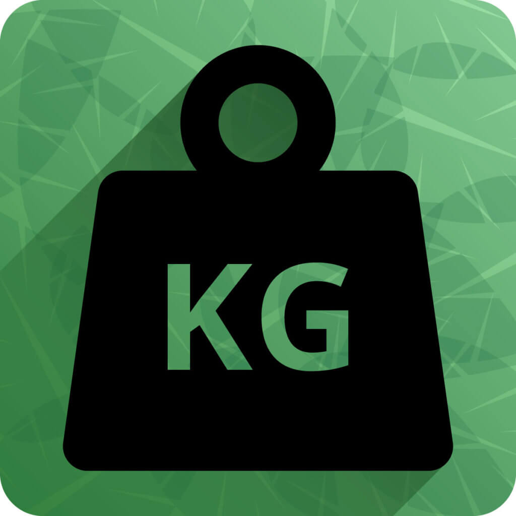 Gewicht - Icon
