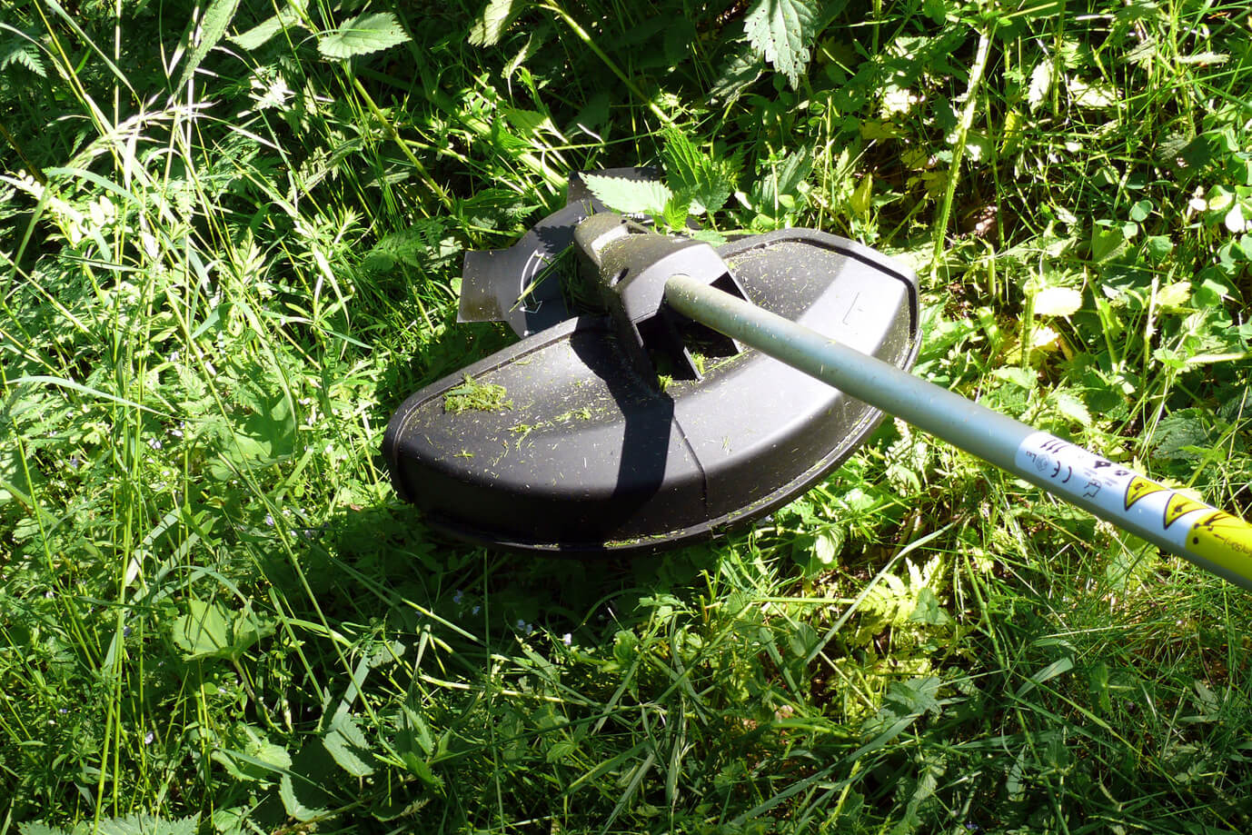 Rasentrimmer im hohen Gras