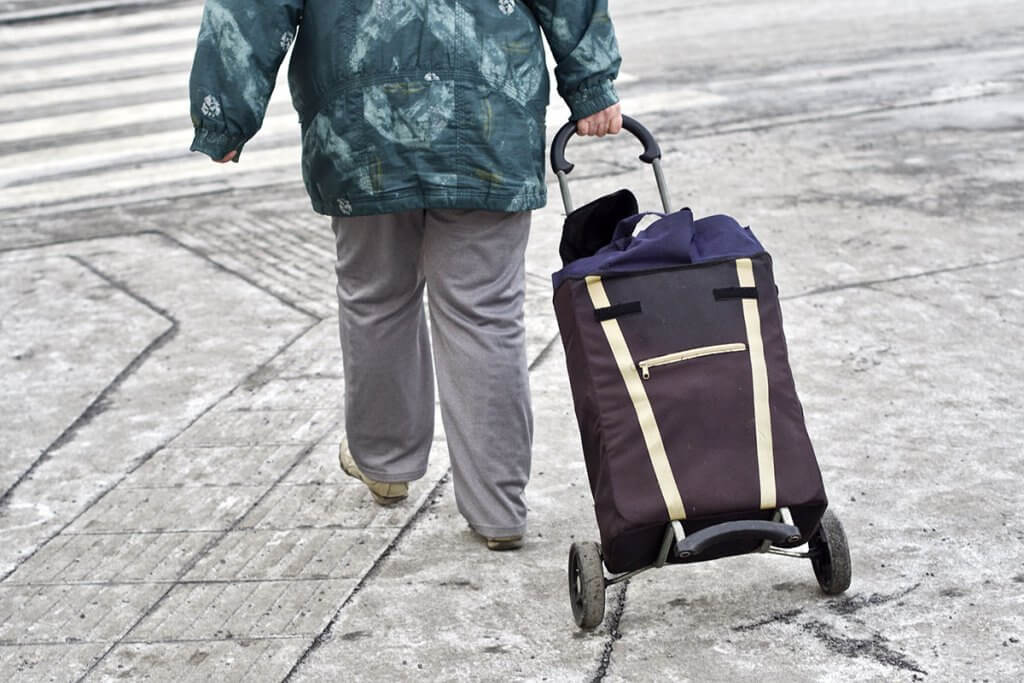 Rueckseite von einer Person mit Einkaufstrolley.