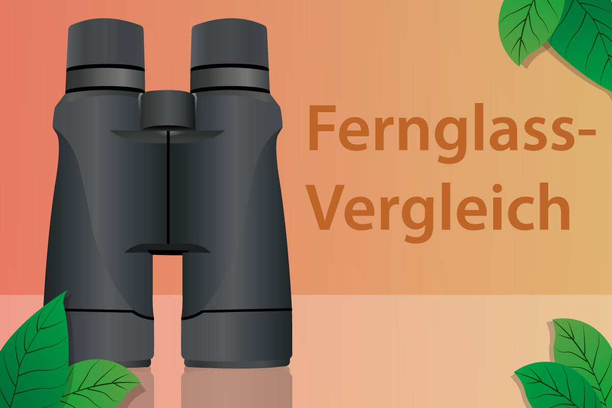Die besten Ferngläser im Vergleich