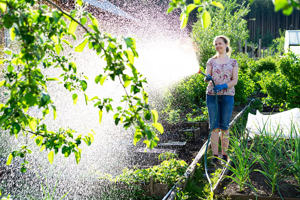 gartenschlauch gießen bewässern sprühegen flexichlauch