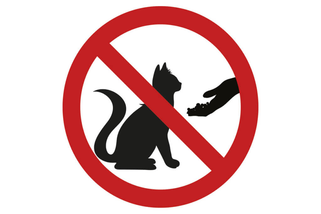 Katzen fĂŒttern Verbotsschild