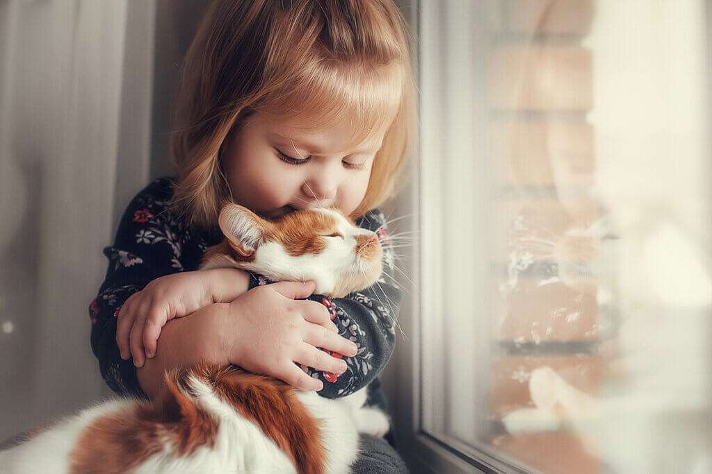 kleines MĂ€dhcne mit Katze am Fenster