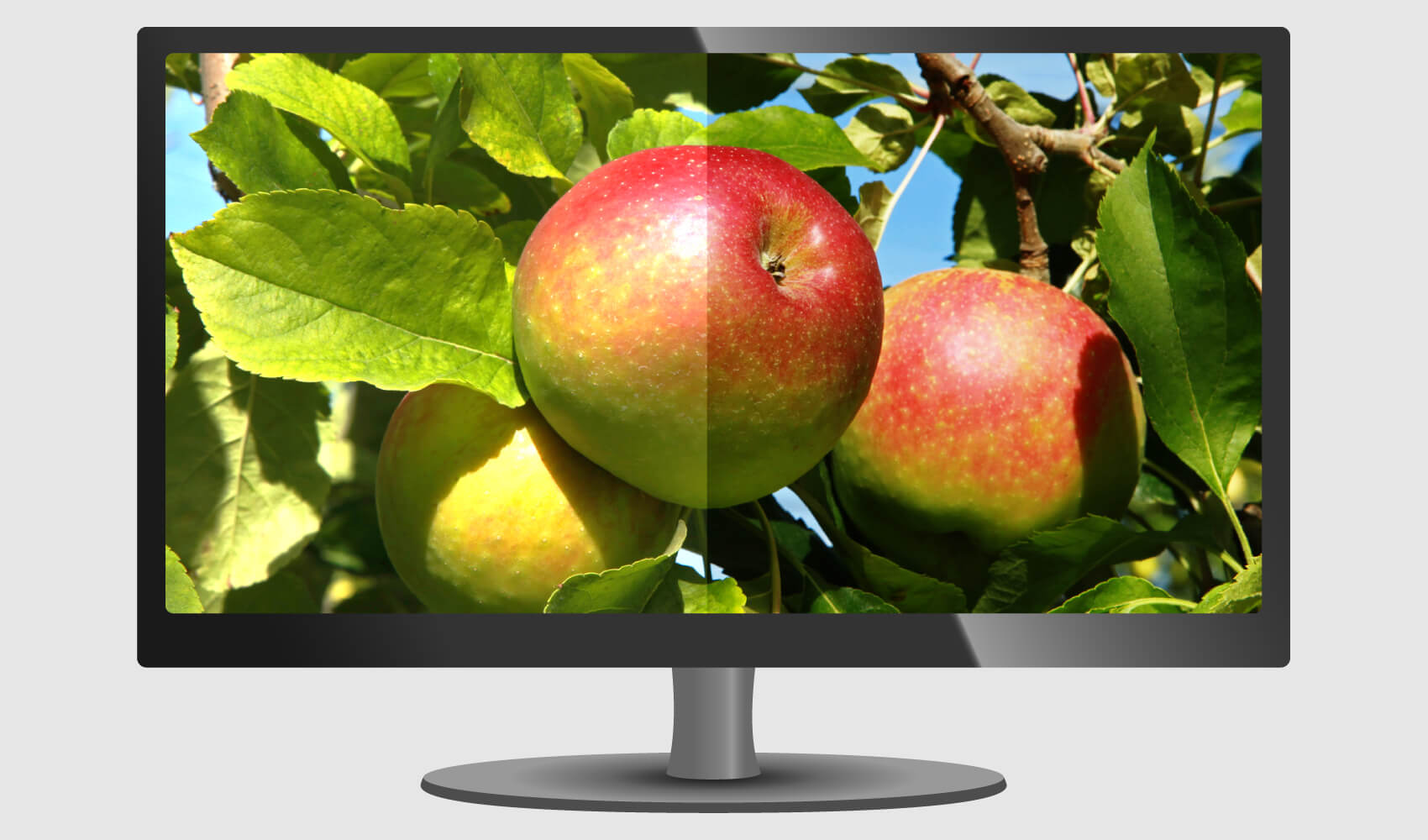 Vergleich LED und OLED Bild