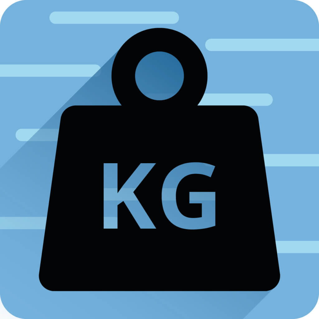 Tragkraft - Icon