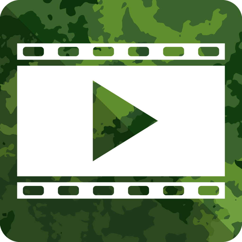 Videoauflösung